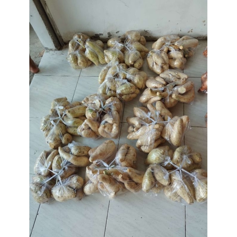 

Promo!!!UbiPutihPacet,rasanyaManis