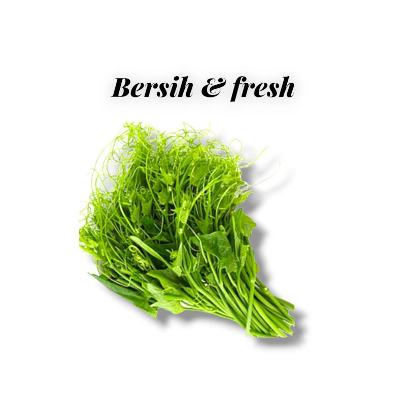 

Daun Pakis Palembang