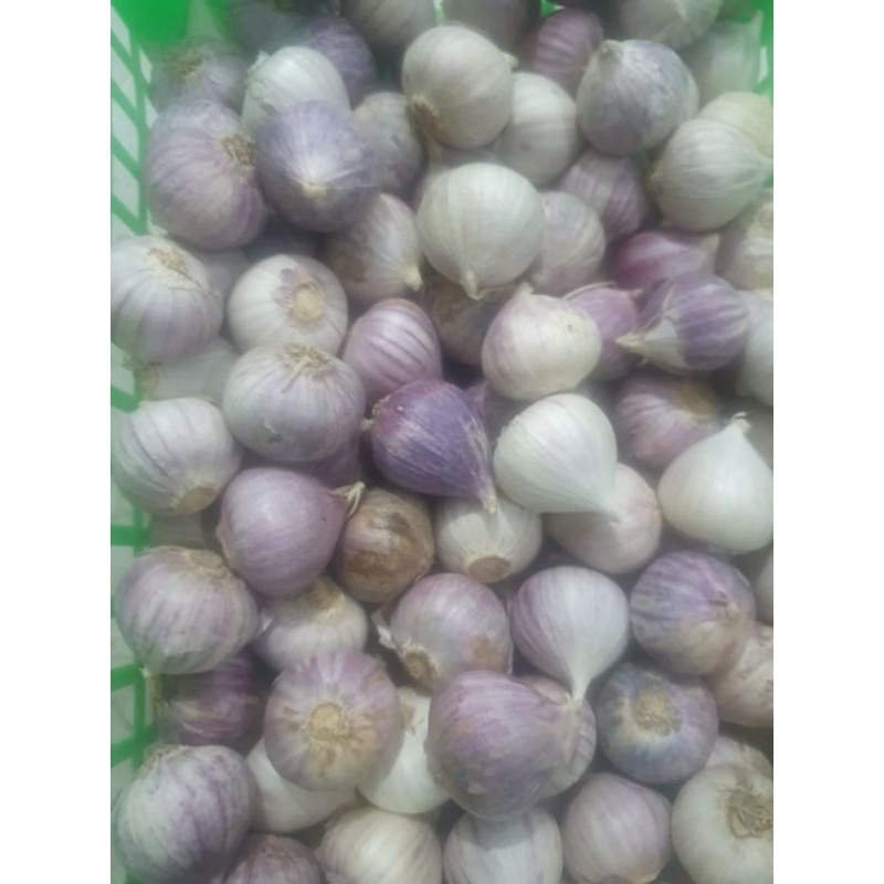 

BAWANG PUTIH TUNGGAL/BAWANG PUTIH LANANG 100GRAM