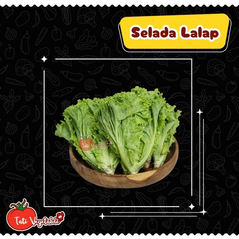 

Selada Keriting Hijau - Selada Lalap - Lollorosa || Sayuran Segar - Tati Vegetable - Groceries - Fresh Produce