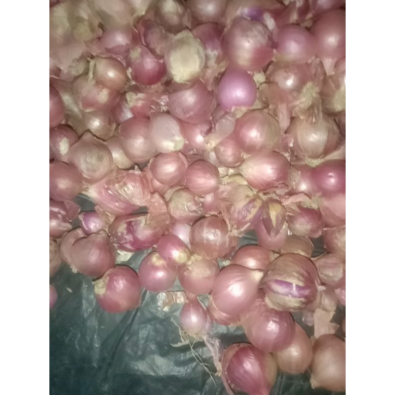 

Bawang merah 250 g