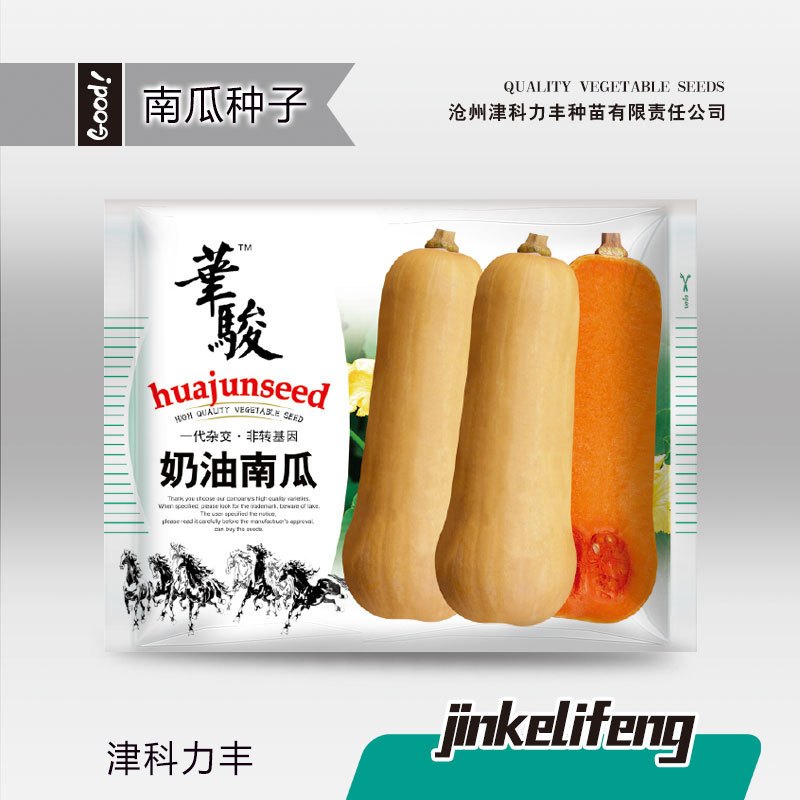 Benih Labu Butternut Squash 20 Biji F1 Import