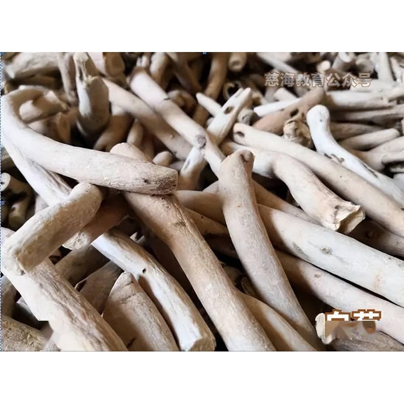 

300 G GR GRAM 白芍条 BAI SHAO TIAO WHITE PEONY ROOT RADIX PAEONIA LACTIFLORA