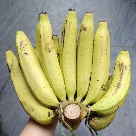 

Pisang Ambon size M