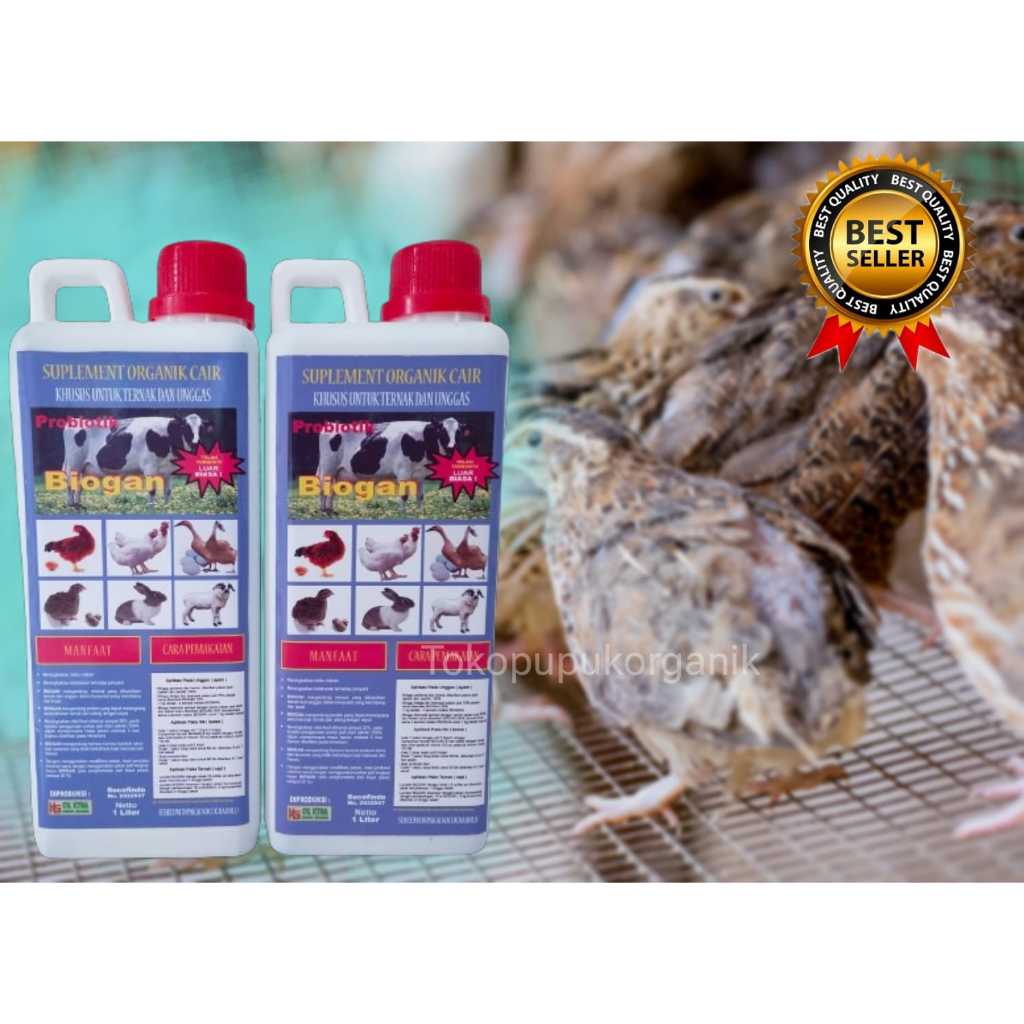 Biogan SOC Suplemen organik cair untuk Unggas, Burung PUYUH dan hewan ternak lainya