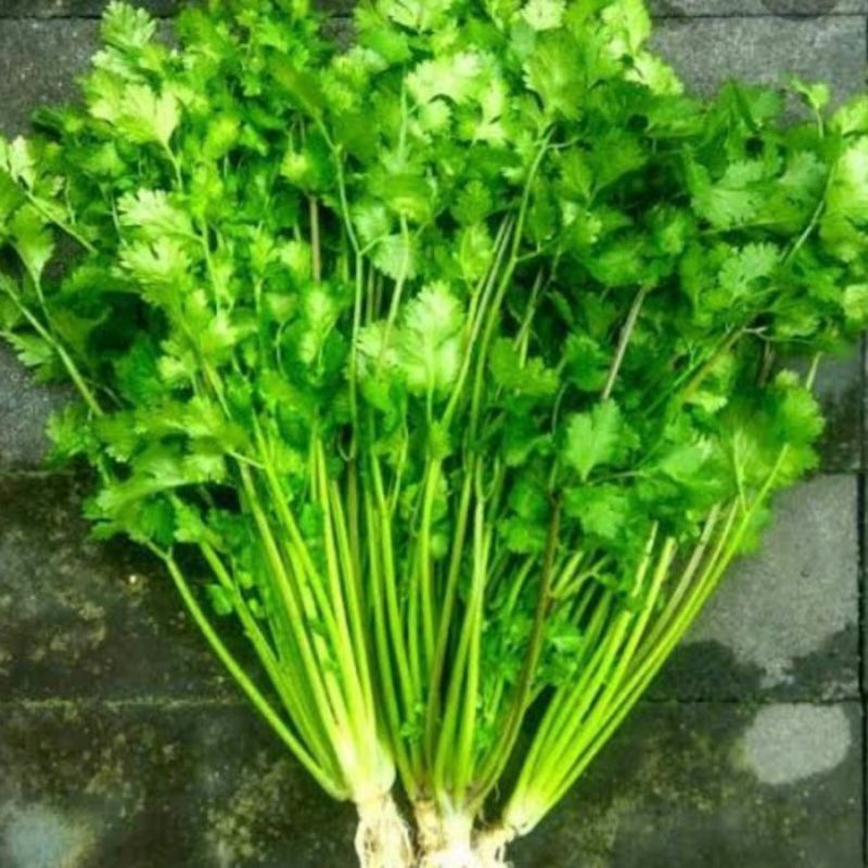 

daun ketumbar/wansui berat250grm