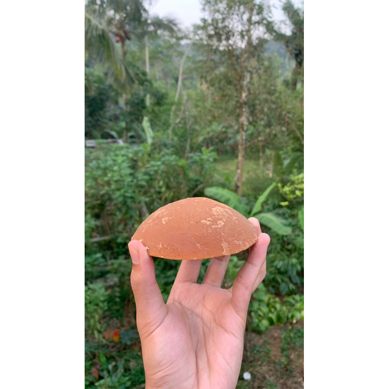 

Gula Aren/Gula Jawa/Gula merah Temanggung ORIGINAL (ASLI TIDAK CAMPURAN)