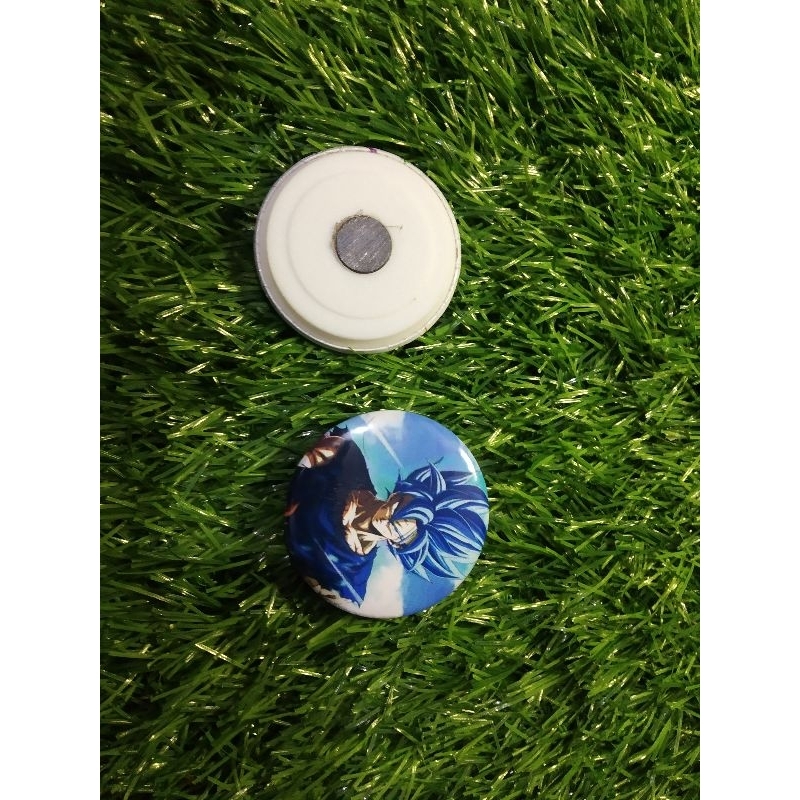 pin magnet dragon ball