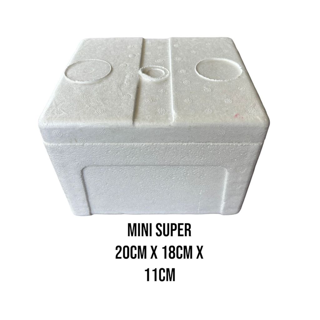 STYROFOAM MINI SUPER BOX 20X18X11CM