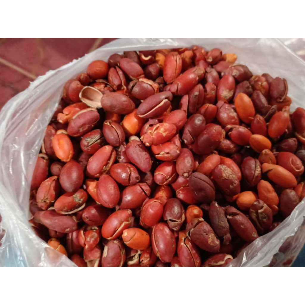 

Kulit Melinjo 100 gram