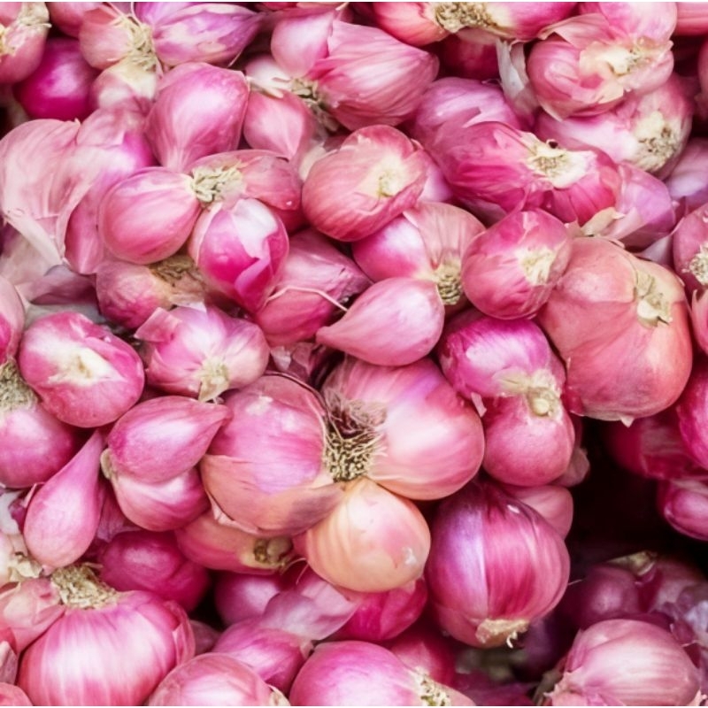 

Bawang Merah