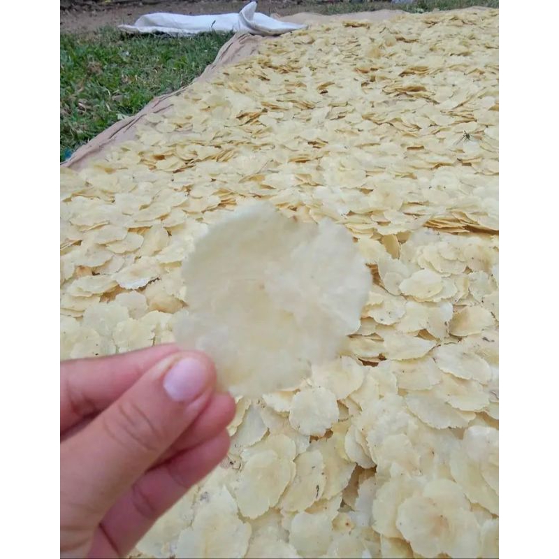 

EMPING MELINJO ABAH 500 gram