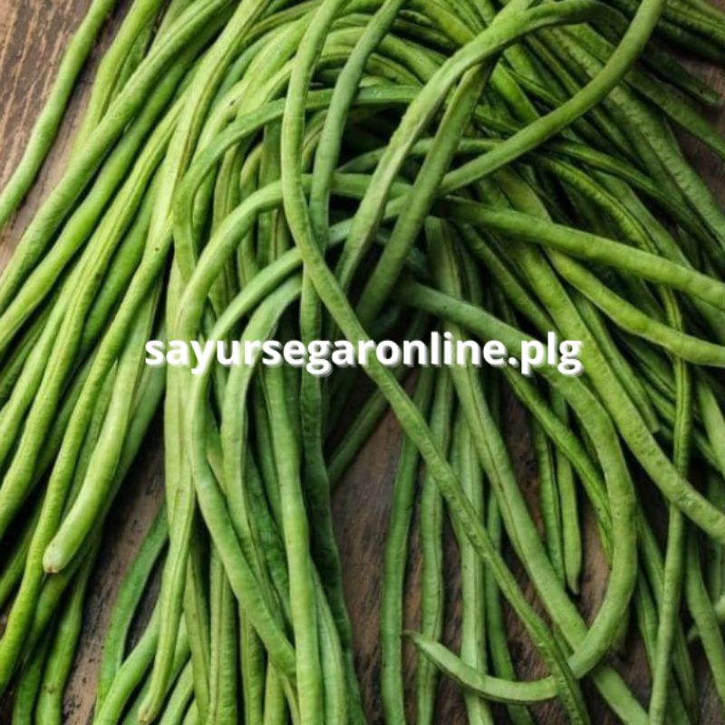 

KACANG PANJANG (1 ikat / 350 gr) - Sayur Online Palembang