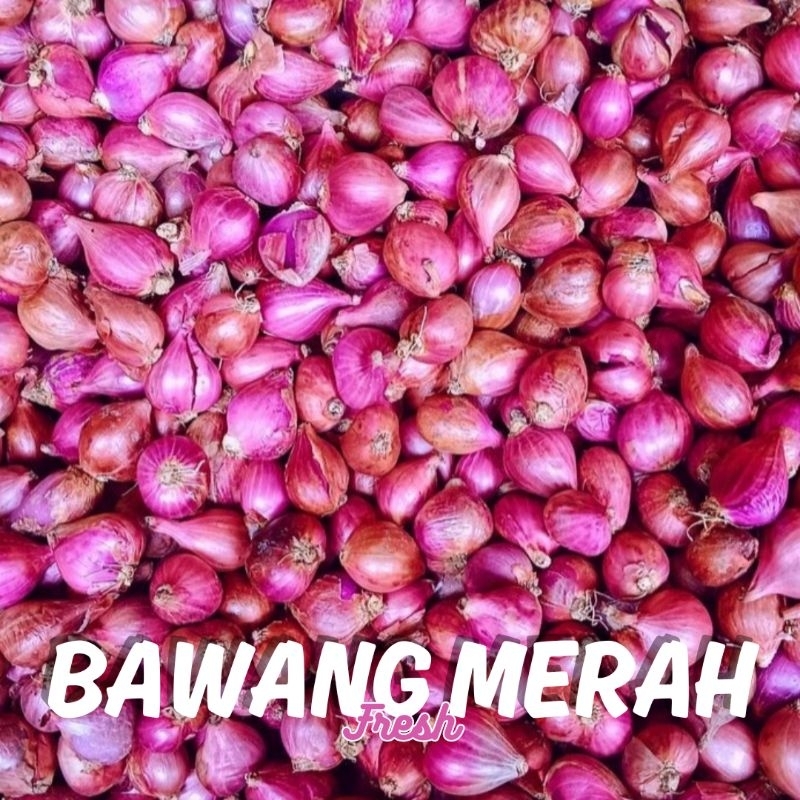 

Bawang Merah Super