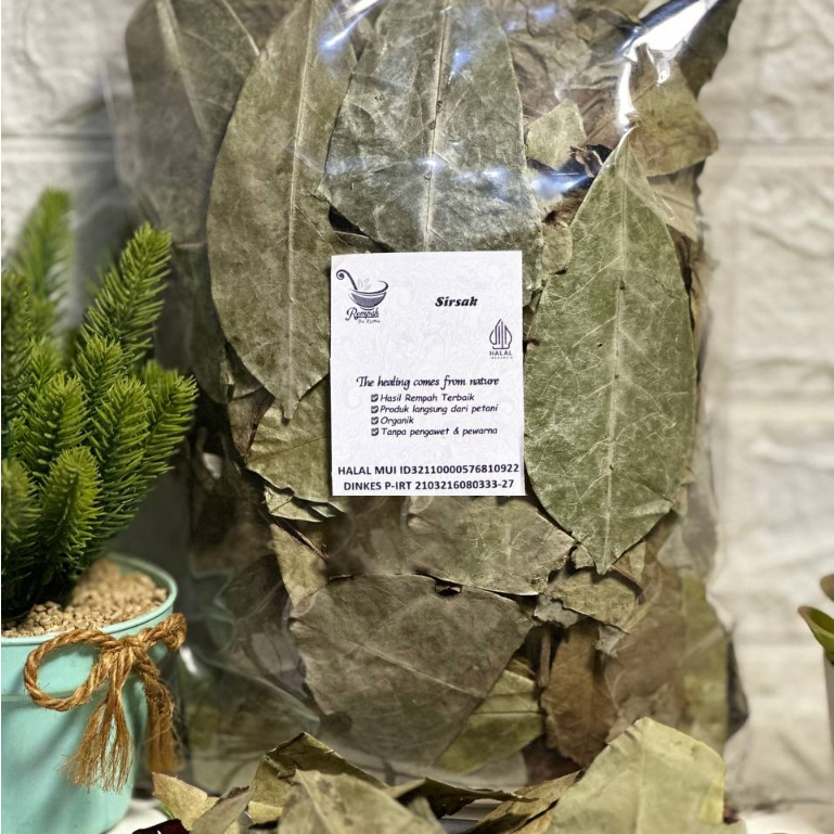 

Daun Sirsak Kering 500 Gram Grade A - Daun Sirsat Rempah Bu Risma