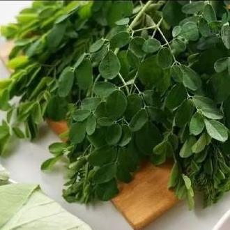 

Daun Kelor Segar 250 Gram