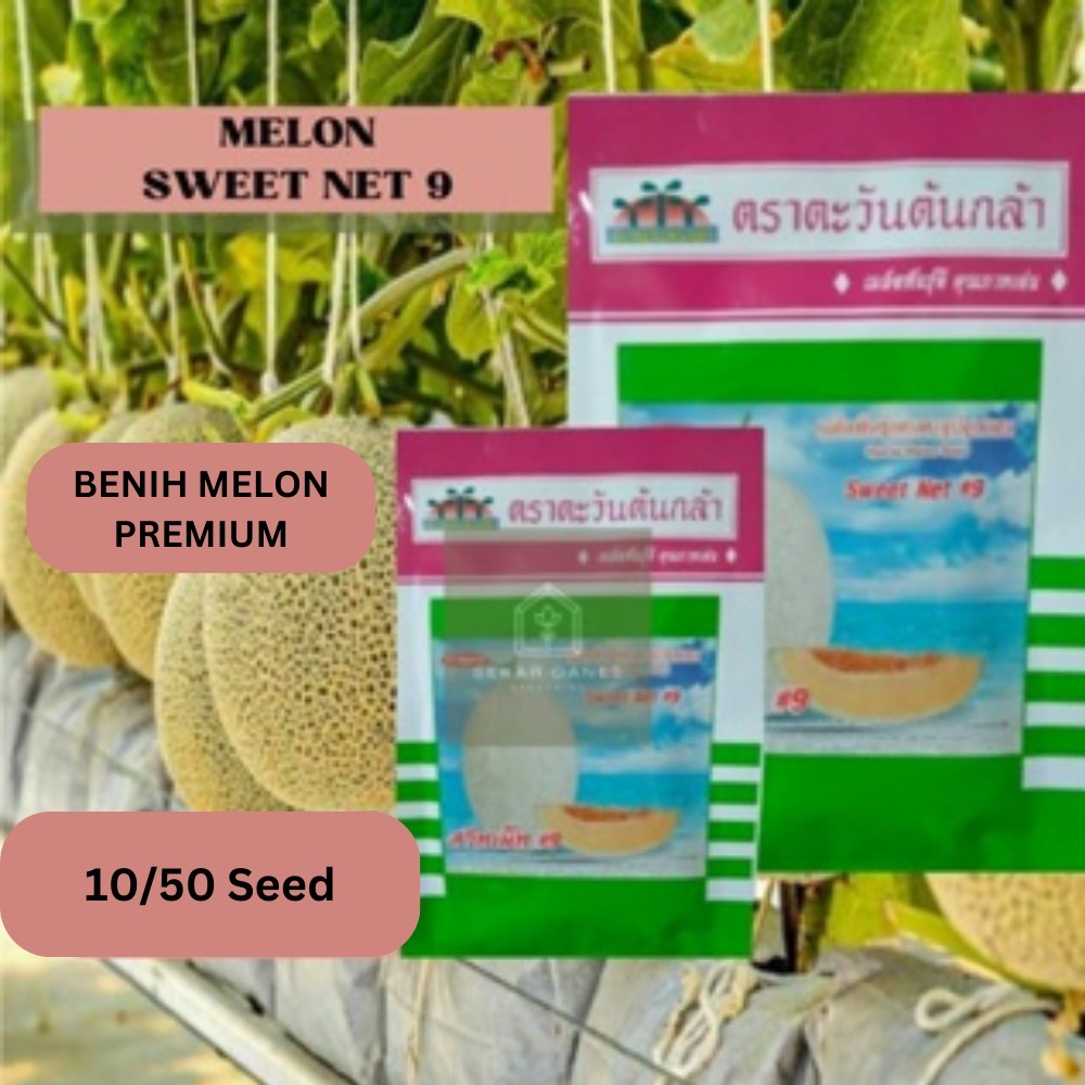 NEW ORi Bijih benih Melon Sweet Net 9 - Repack 10 & 50 Bibit Melon Premium