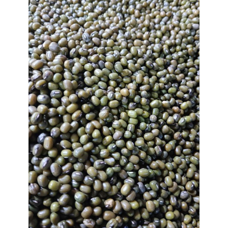 

Kacang Hijau/Kacang Hijo 1 kg