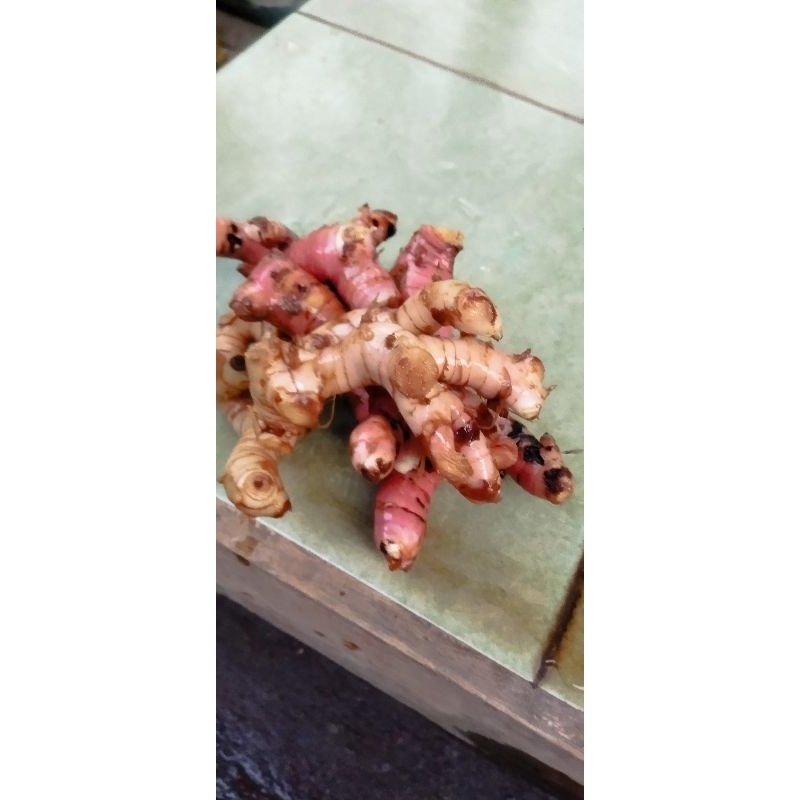 

bumbu rempah rempah (masi bahan)