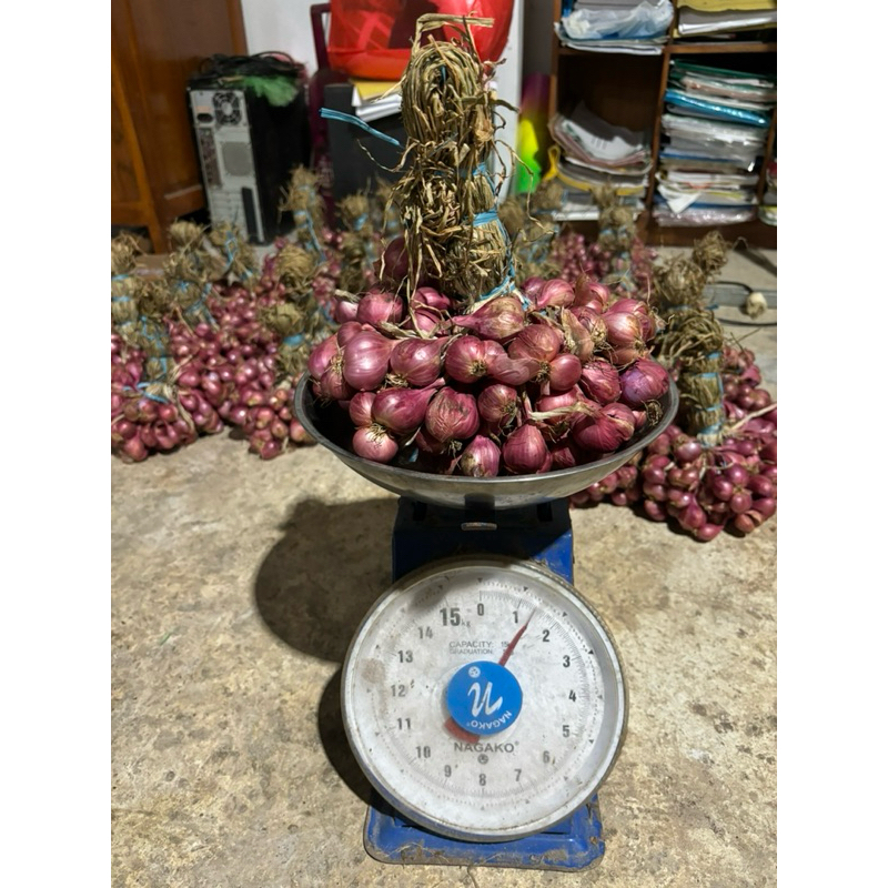 

BAWANG MERAH KUALITAS SUPER ASLI GUNUNGKIDUL KARANGREJEK