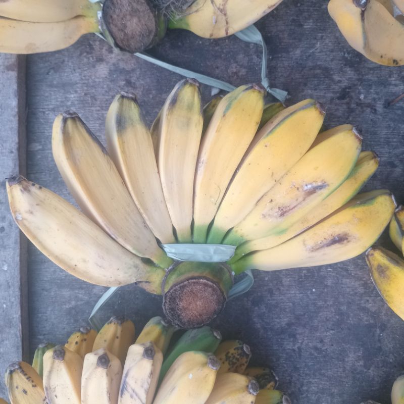 

Pisang Kepok merah