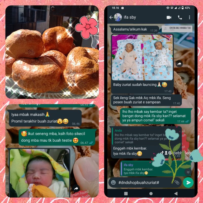 

buah zuriat program hamil alami asli mesir