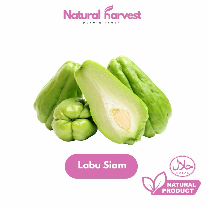 

Labu Siam Super Fresh 500gr | NaturalHarvest!