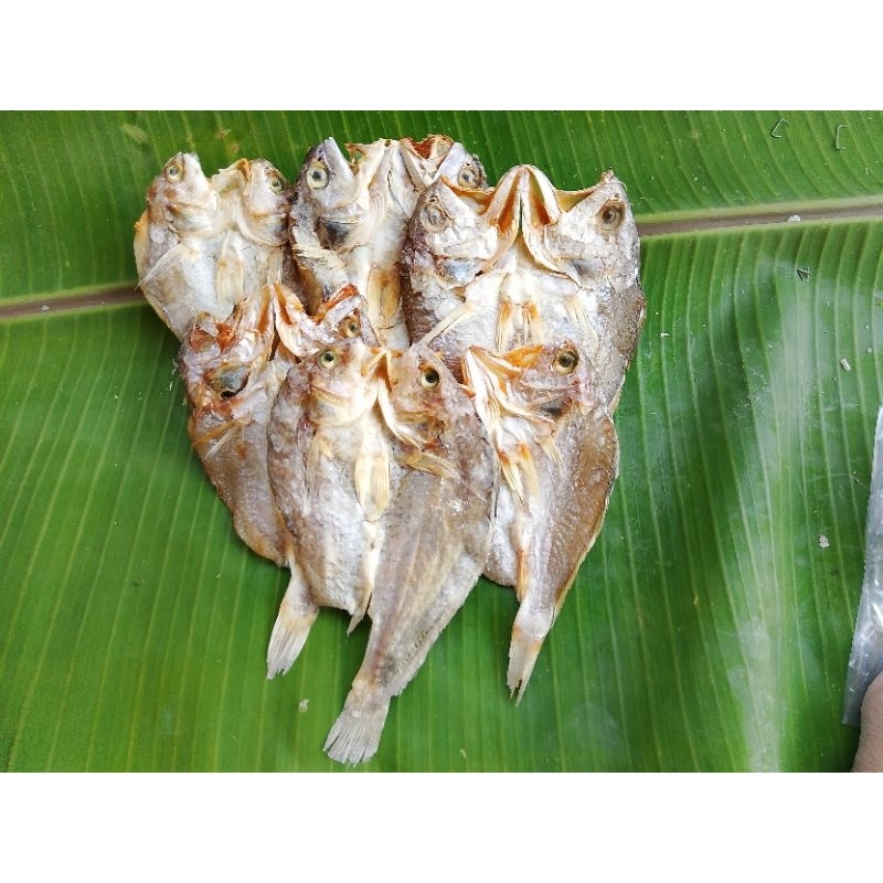 

Ikan Asin Kering Gulma Laut