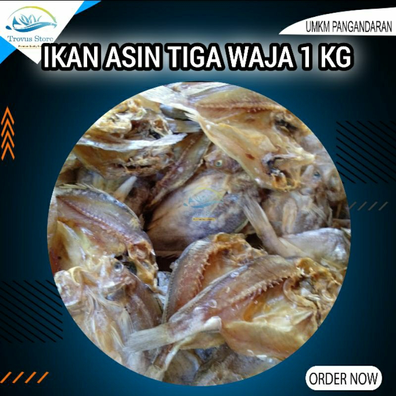 

Ikan Asin Tiga Waja 1 Kg Kualitas Premium Super Bersih Suplier Ikan Asin Pangandaran