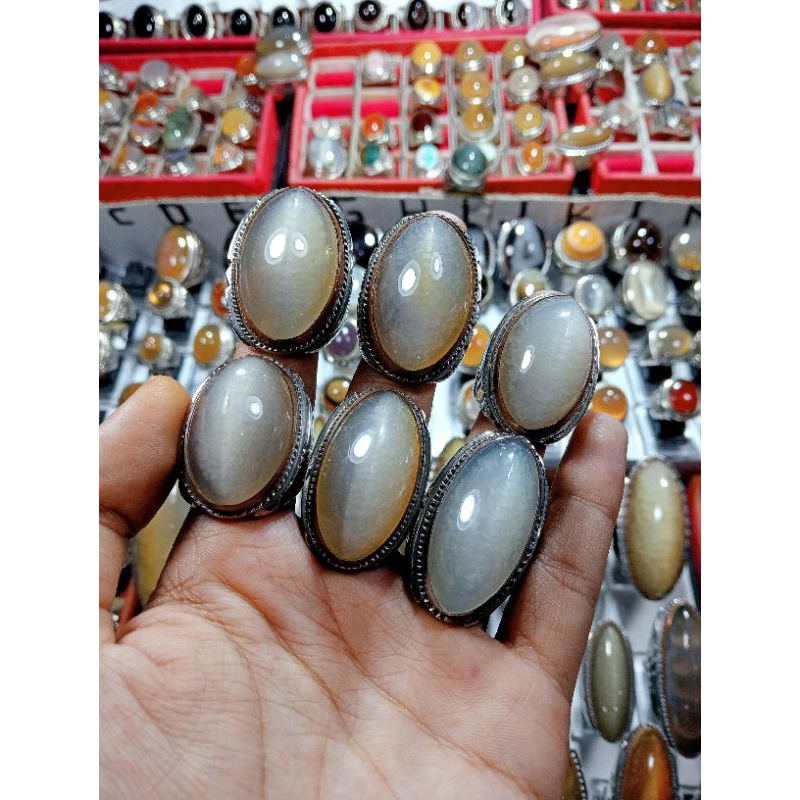 Pandan Kapas