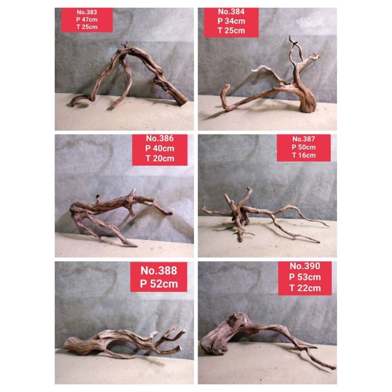 bonggolan akar Rasamala akar aquascape aquarium 381 SD 390