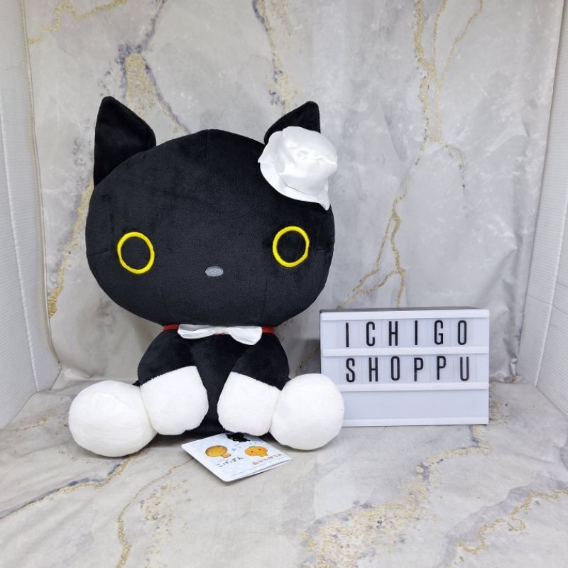 Kutusita Nyanko San-X All Stars Dressed Up BIG Plush Doll