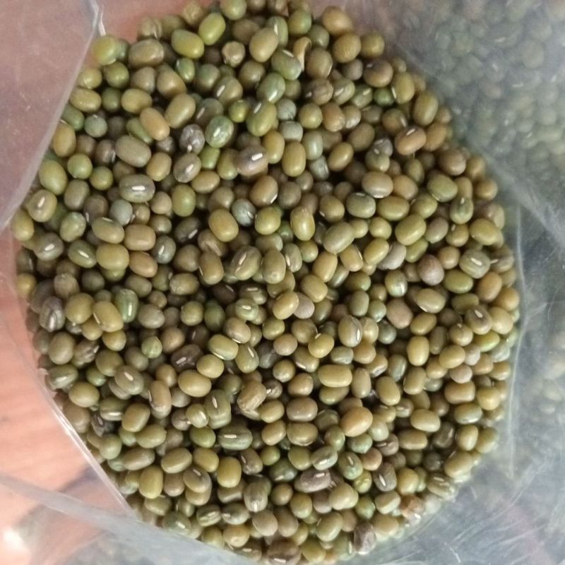 

1 kg Kacang hijau bubur import biji kecil