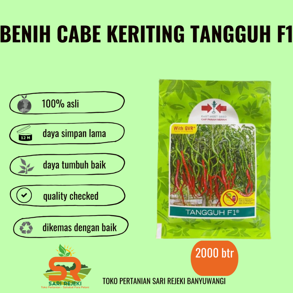 BENIH CABE KERITING TANGGUH F1 2000 BUTIR CAP PANAH MERAH