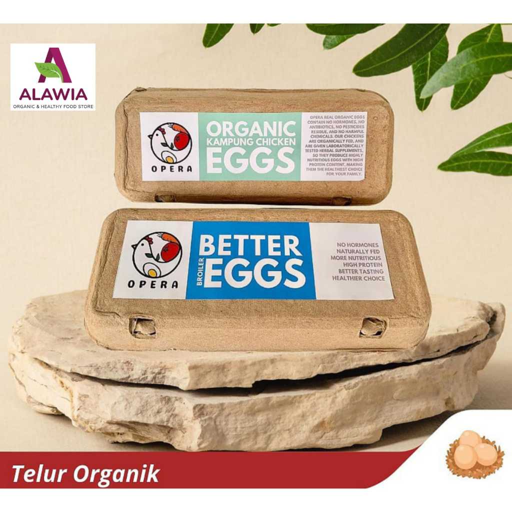 

TELUR AYAM ORGANIK - isi 10 butir - Telur Negeri