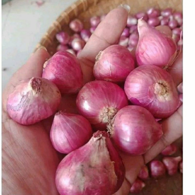

Bawang Merah Fres 100 gram