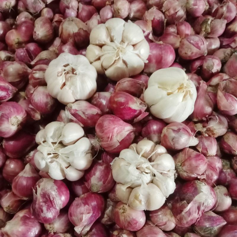 

Bawang Merah 1 Kg ( Bamer 1 kg Baput 250g )