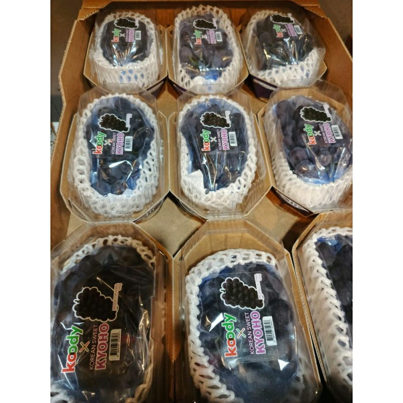 

Promo Buah Anggur Kyoho Korea Original / Buah Anggur Kyoho / Pack