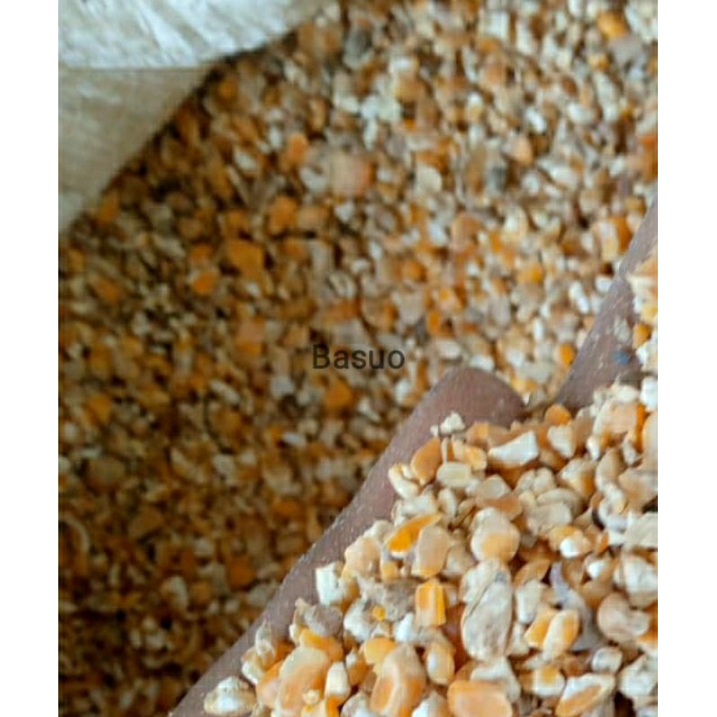 

jagung pecah isi 10 kg /sak