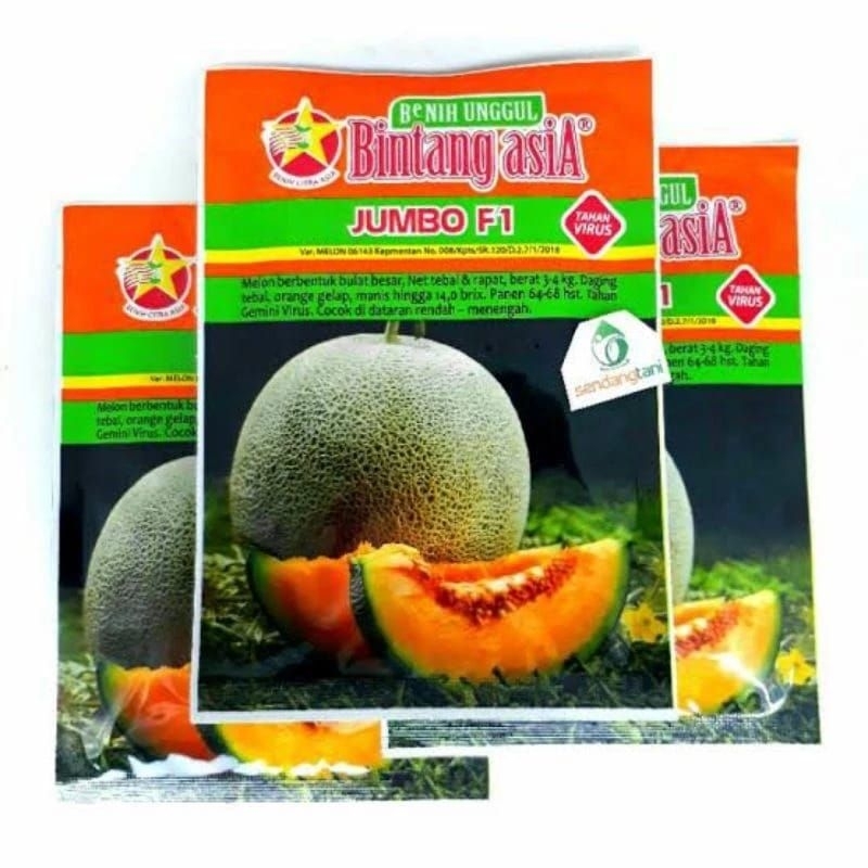 Benih bibit Melon JUMBO F1 20 gram dari bintang Asia
