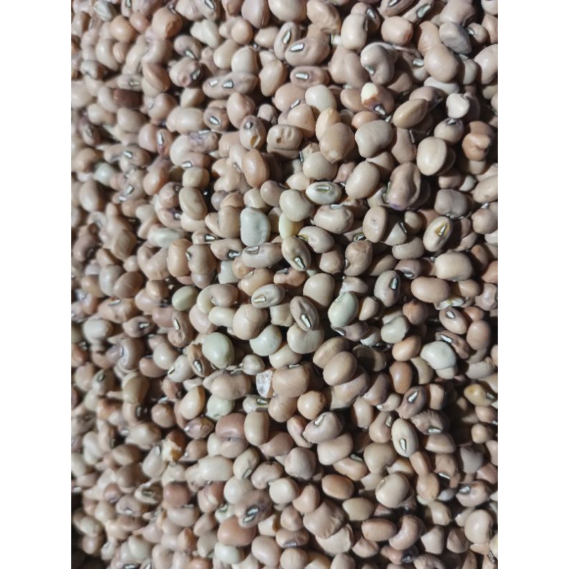 

Kacang Tolo 1 Kg