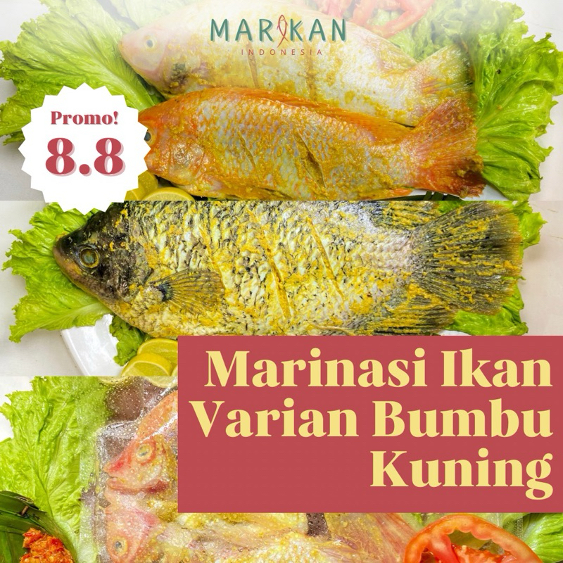 

Ikan Marinasi Siap Masak Varian Bumbu Kuning [Gurame dan Nila] [Frozen Food]