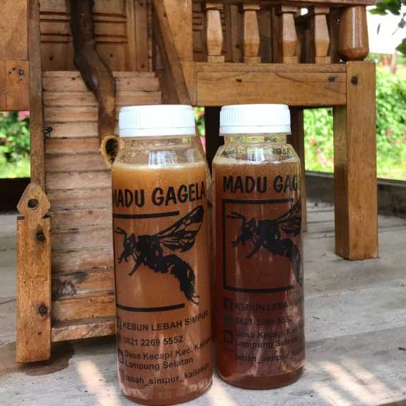 

MADU MURNI ASLI 100% MADU GAGELA (KLANCENG) MADU LOKAL MADU LEBAH KEBUN SIMPUR MADU MANIS MASAM