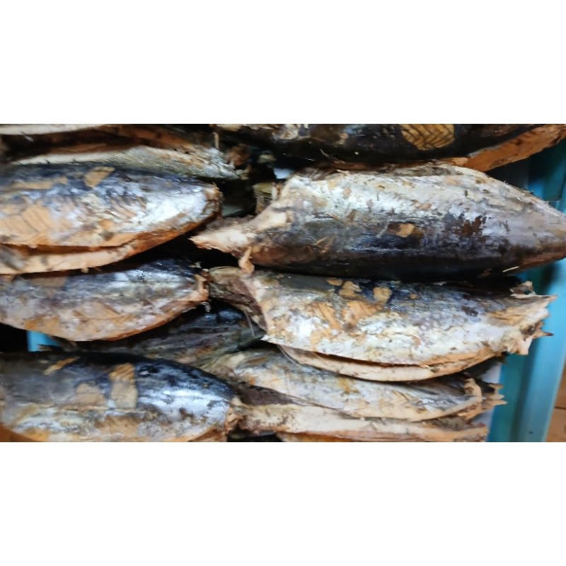 

ikan tongkol 1 biji matang