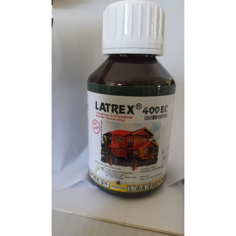 Latrex obat anti rayap