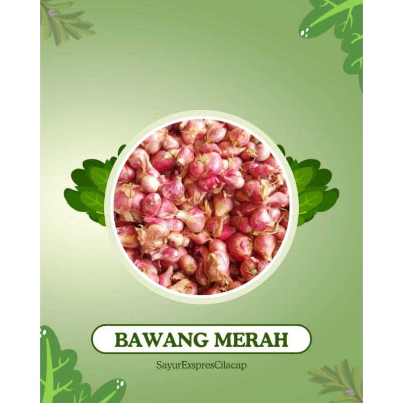 

Bawang merah jawa super