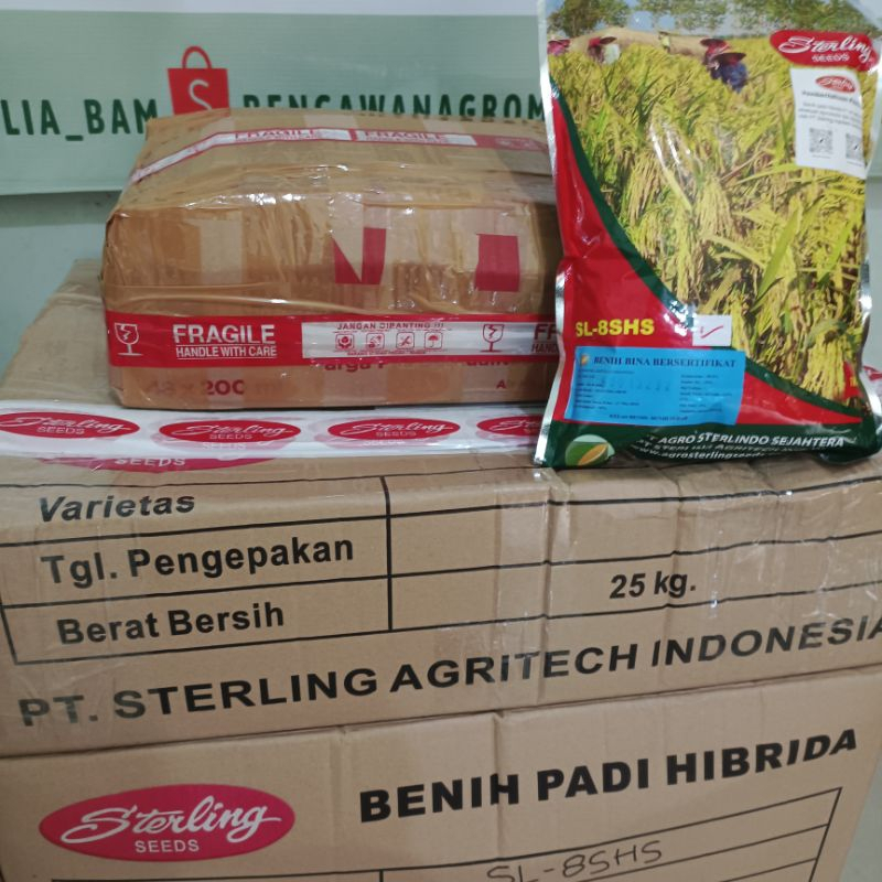 BSHS 6H BSHS6H BS-6H BS6H 1kg EXP: 30 sep 2025 sama MAPAN P05 BENIH PADI HIBRIDA Sterling