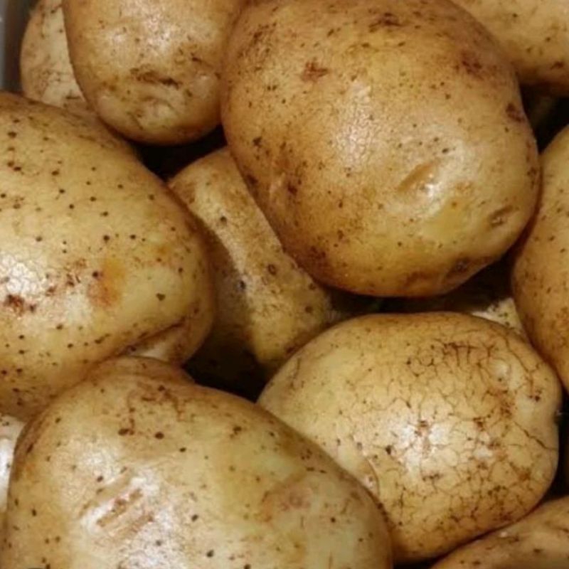 

Kentang kuning Super /Kentang Dieng Wonosobo 1 kg