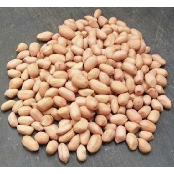 

Kacang Tanah India Putih Repack 1kg