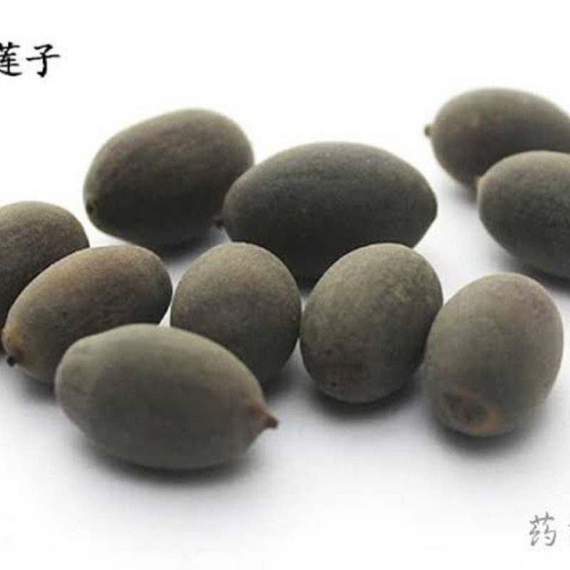 

300 G GR GRAM 石莲子 SHI LIAN ZI NELUMBO NUCIFERA GAERTN